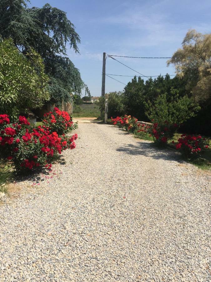 Отель Mazet Provencal Сен-Жиль Экстерьер фото