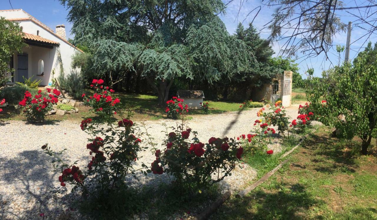 Отель Mazet Provencal Сен-Жиль Экстерьер фото