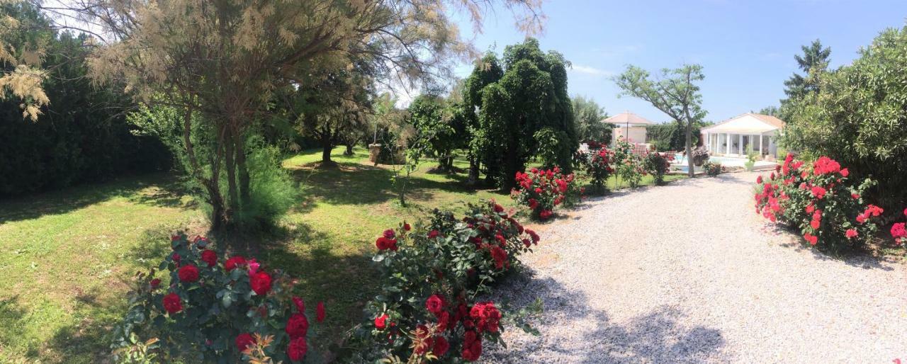 Отель Mazet Provencal Сен-Жиль Экстерьер фото